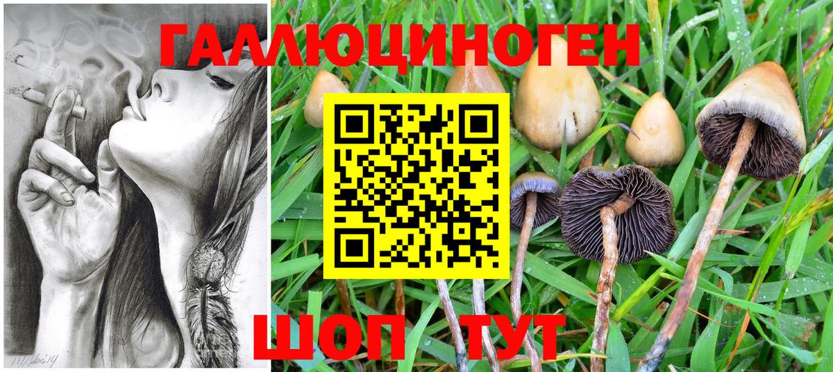 Псилоцибиновые грибы ЛСД  где продают   Вход с VPN  Волжский  Псилоцибиновые грибы Magic Shrooms 